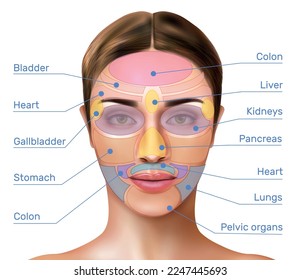 Face mapping reflexology realistic infographics with massage zones marked on female face and names of internal organs vector illustration