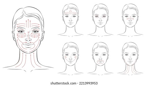 Face massage lines. Facial massage instructions, vector illustration