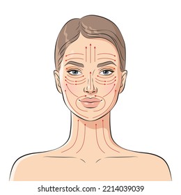 Face massage lines. Facial massage instructions, vector illustration