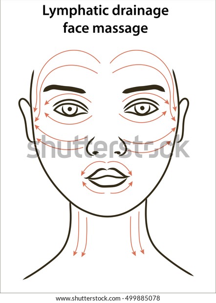 フェイスマッサージライン リンパ排水面マッサージラインを持つ若い女性の顔 アンチエイジ顔マッサージ 女性の顔 の老化地域 心配線 カラスの足 あごを垂らし しわくちゃの顔 のベクター画像素材 ロイヤリティフリー