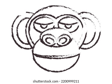 Face of a monkey on white background.