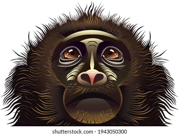the face of a monkey with sad eyes