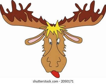 face of moose