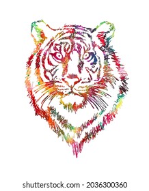 The face of a multi-colored lion. Vector illustration