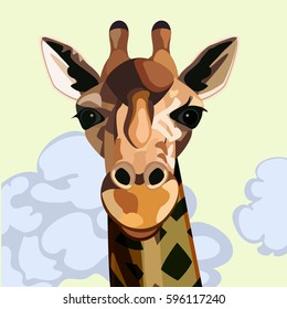 Face and neck of a giraffe from the front with a yellow sky and clouds behind it
