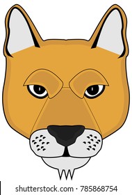face orange pumas