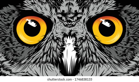 Face owl illustration sketch portrait closeup design vector