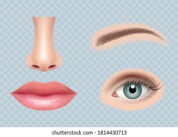 Face parts realistic. Human body eyes ear nose and mouth vector pictures set isolated