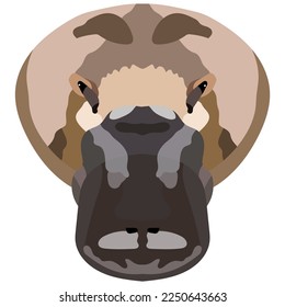 The face of a platypus. Vector illustration Isolated on white background.