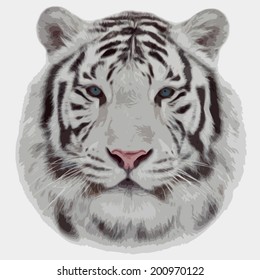 Face portrait of white bengal tiger, isolated on white background. Amazing mask of the biggest cat. Wild beauty of the most dangerous, but cute and cuddly beast of the world. Vector animal image.