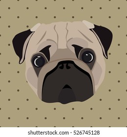 Face of pug. Vector illustration.