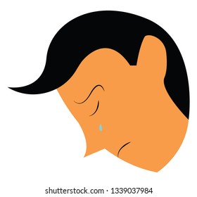 Face of sad boy with tear flowing out of his eyes vector color drawing or illustration 
