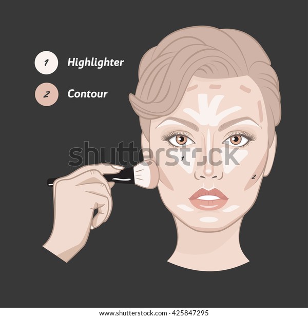 面形状輪郭ガイドベクターイラスト プロの化粧ブラシを持つ女性の顔と手 輪郭面マップ メイクアップアーティストは 女の子の顔に輪郭を付けます 女性の顔の輪郭を描く方法 のベクター画像素材 ロイヤリティフリー