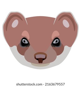 Face of a stoat or short tailed weasel. Eurasian ermine. (Mustela erminea). Animal mask. Cartoon style.