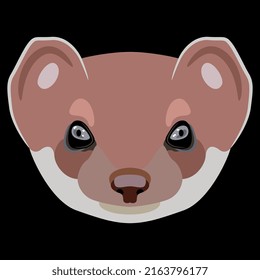 Face of a stoat or short tailed weasel. Eurasian ermine. (Mustela erminea). Animal mask. Cartoon style. On black background.