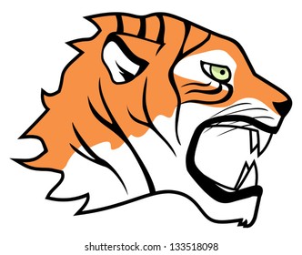 Face tiger