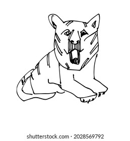 the face of a tiger. Sketch. Vector doodle illustration