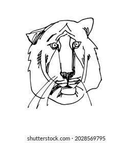 the face of a tiger. Sketch. Vector doodle illustration