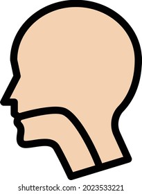 face vector line colour icon