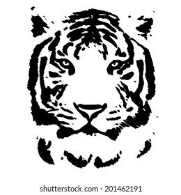 Face of a white bengal tiger, isolated on white background. Amazing mask of the biggest cat. Wild beauty of the most dangerous and mighty beast of the world. Black and white vector image.