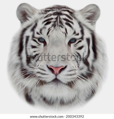 Face of a white bengal tiger, isolated on white background. Mask of the biggest cat. Wild beauty of the most dangerous and mighty beast of the world. Amazing vector image in oil painting style. 