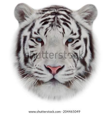 Face of white bengal tiger, isolated on white background. Mask of the biggest cat of the world. Wild beauty of the most dangerous and mighty beast. Amazing vector image in oil painting style.
