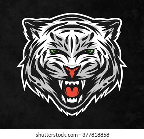 Face of a white bengal tiger. On dark background.