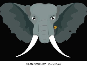 face of wild elephant on black background
