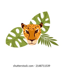 Face of wild leopard with palm leaves. Tropical fauna and vegetation, jungle carnivore cat, savannah hunter, spotted mammal animal, dangerous feline species vector illustration