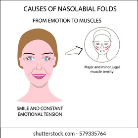 14,153 Facial muscles Images, Stock Photos & Vectors | Shutterstock