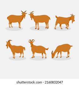 Faceless Goat Animal Qurban Set Collection