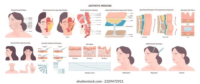 Facelift and aesthetic medicine treatment set. Face features correction or anti-aging beauty procedure technique. Mature skin anatomy, age-related changes, wrinkles treatment. Flat vector illustration