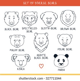 Faces bears set of 9 muzzles handmade in linear style.  Asiatic Panda, koala