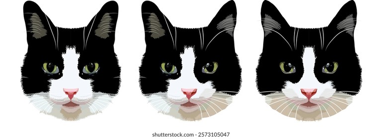 Faces of beautiful cats. Cute black and white kitty. Vector illustration.