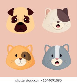 faces of cute little cats with dog vector illustration design