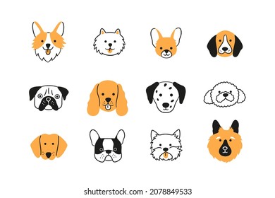 Faces of different breeds dogs set. Corgi, Beagle, Spitz Chihuahua, Terrier, Spaniel, Poodle, Dalmatian. Collection of doodle dog heads. Hand drawn vector illustration isolated on white background.