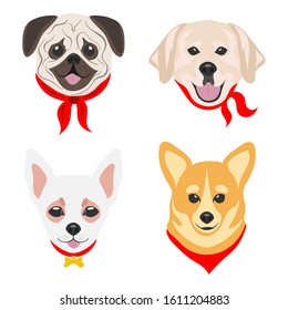 Faces of dogs of different parodies. Dogs drawn in pop art style. Set of flat vector illustrations on a white background. Pug, Labrador, Chihuahua, Corgi.