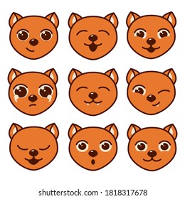 Faces of red cats with different emotions .