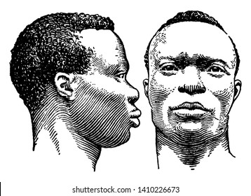 Faces of two African men, vintage line drawing or engraving illustration