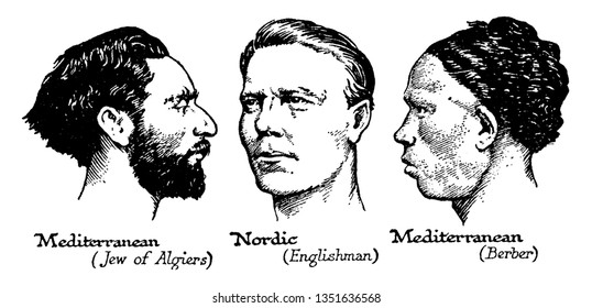 Faces of two Mediterranean and Nordics, vintage line drawing or engraving illustration
