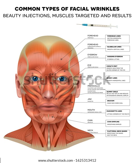 Facial Injections Info Poster Male Model Stock Vector (Royalty Free ...