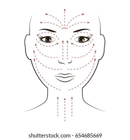 Facial massage lines for applying cream on face and neck. Vector illustration design