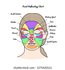 Head Reflexology Chart