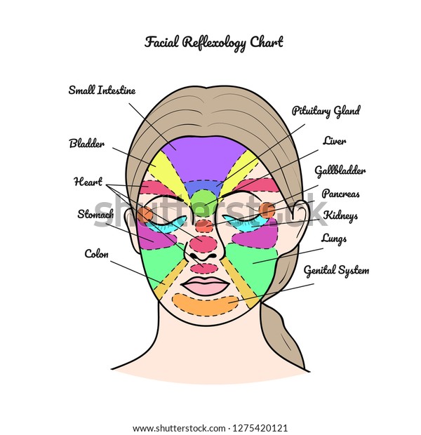 Free Face Reflexology Chart