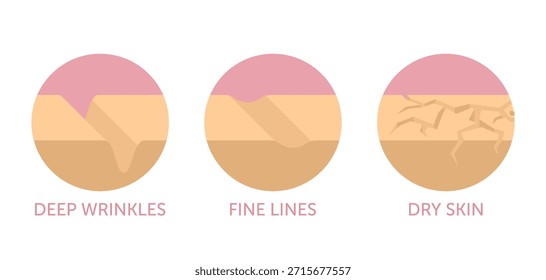 Ícones de problemas de pele facial definidos para a rotulagem de produtos cosméticos antiidade. Rugas profundas, linhas finas, pele seca. Também os pés de corvos. Pictogramas em cores planas