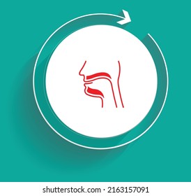 facilities to manage all diseases related to ENT