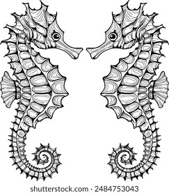 Facing Seahorses Illustration Coloring page , seahorse couple 