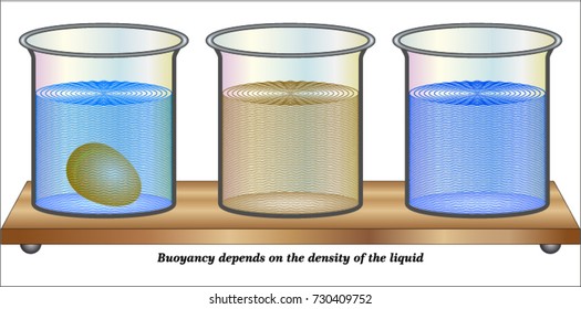 Different States Matter Stock Vector (Royalty Free) 1221798472