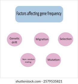 factors affecting gene frequency vector