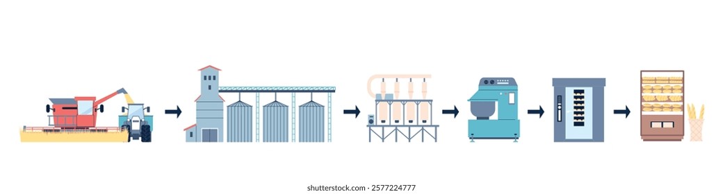 Factory production of bread. Process step by step from wheatfield to bakery shop shelf. Agriculture industry, farming and technologies, recent vector scene